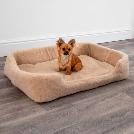 Merino Wool Pet Bed - (Medium/Large) cappucino - Oakavia