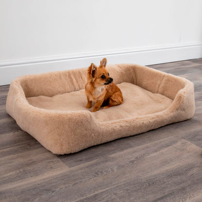 Merino Wool Pet Bed - (Medium/Large) cappucino - Oakavia