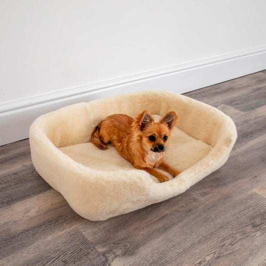 Merino Wool Pet Bed Natural - (Small/Medium) - white - Oakavia