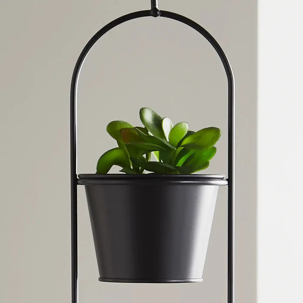 Small Duo Black Hanging Plant Holder - Oakavia