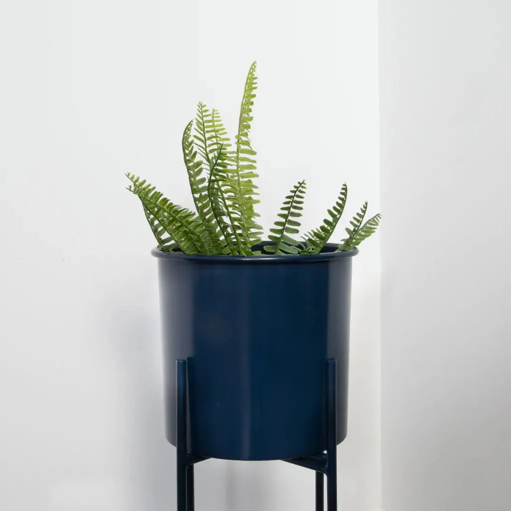 Stilts Navy Blue Plant Holder (83cm) - Oakavia