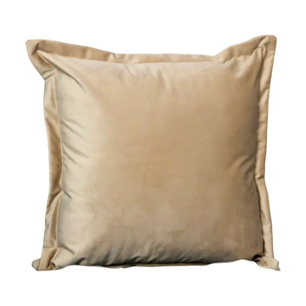 Beige Velvet Cushion - Feather Filled - Oakavia