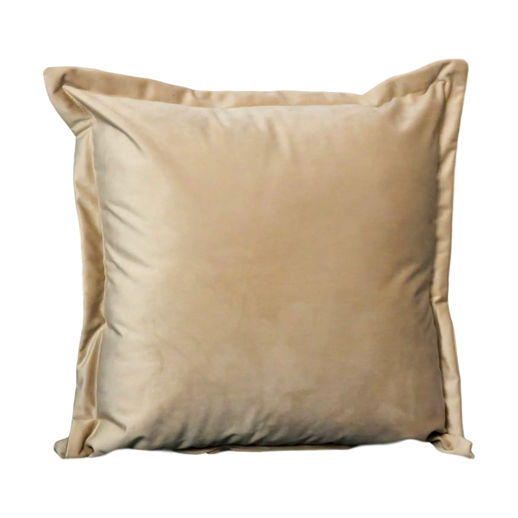 Beige Velvet Cushion Cover - Oakavia