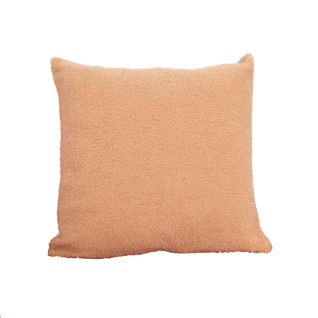 Light Brown Teddy Cushion - Feather Filled - Oakavia