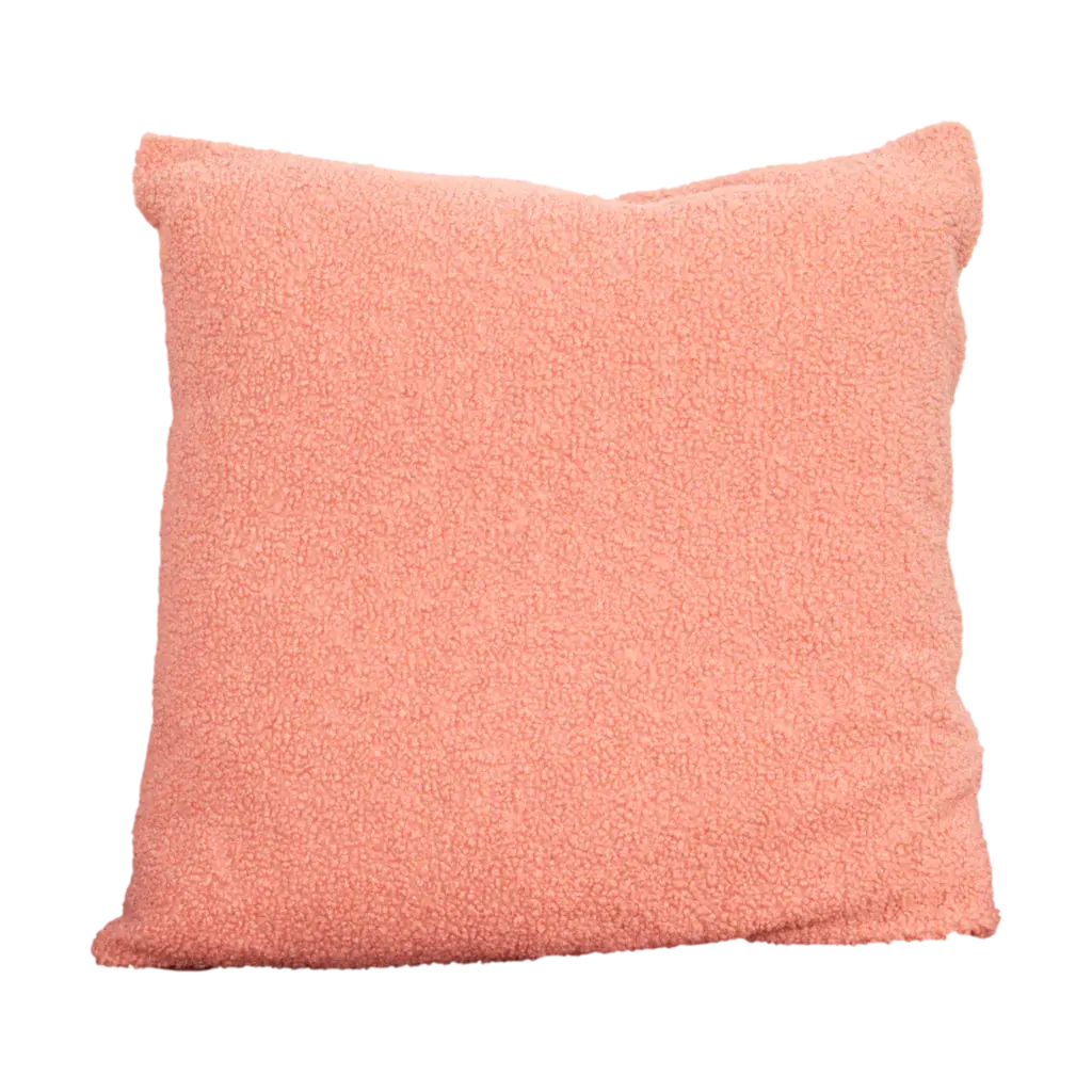 Rose Teddy Cushion - Feather Filled - Oakavia